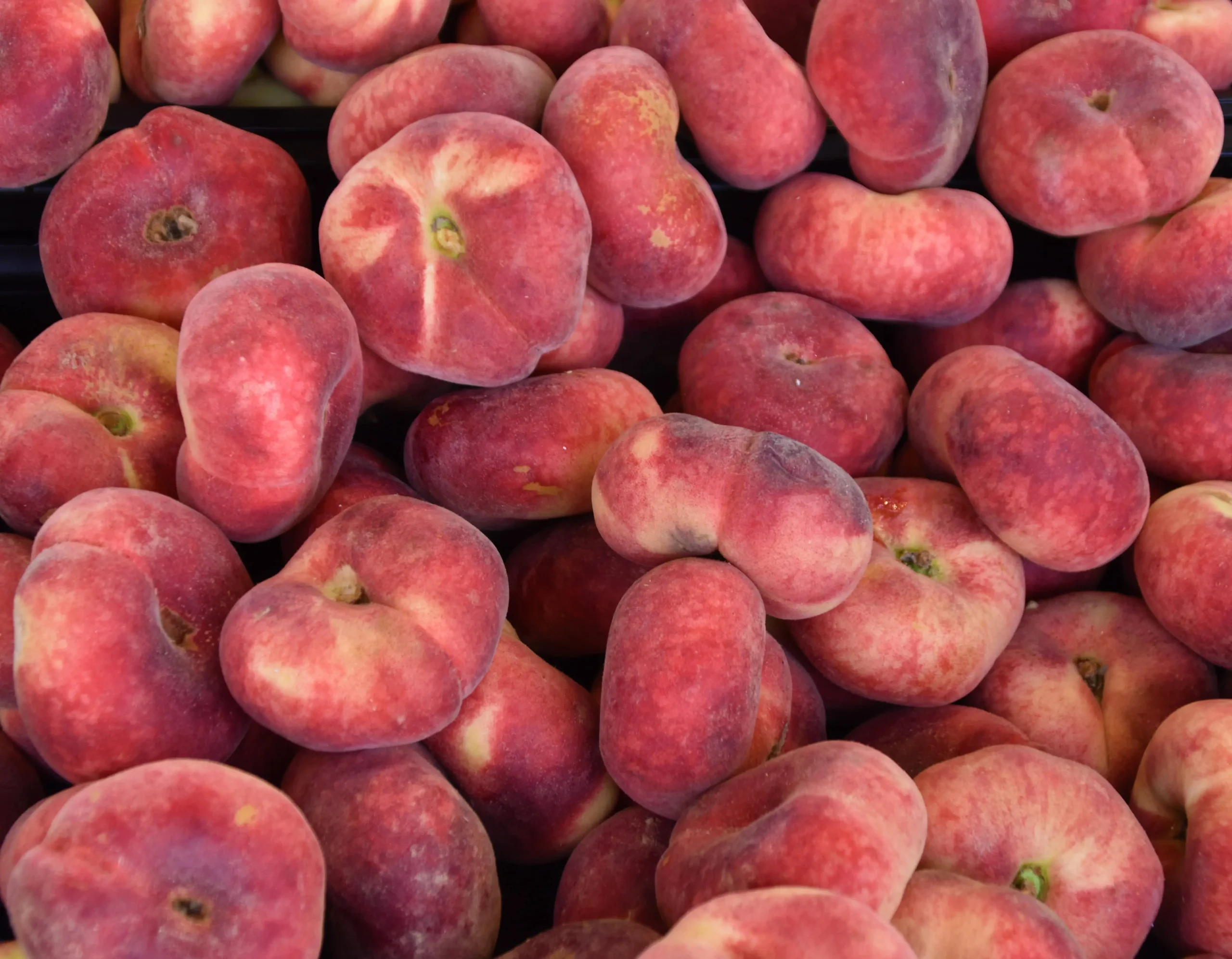 Amazing fresh peaches for private chef dining in South of France villas.