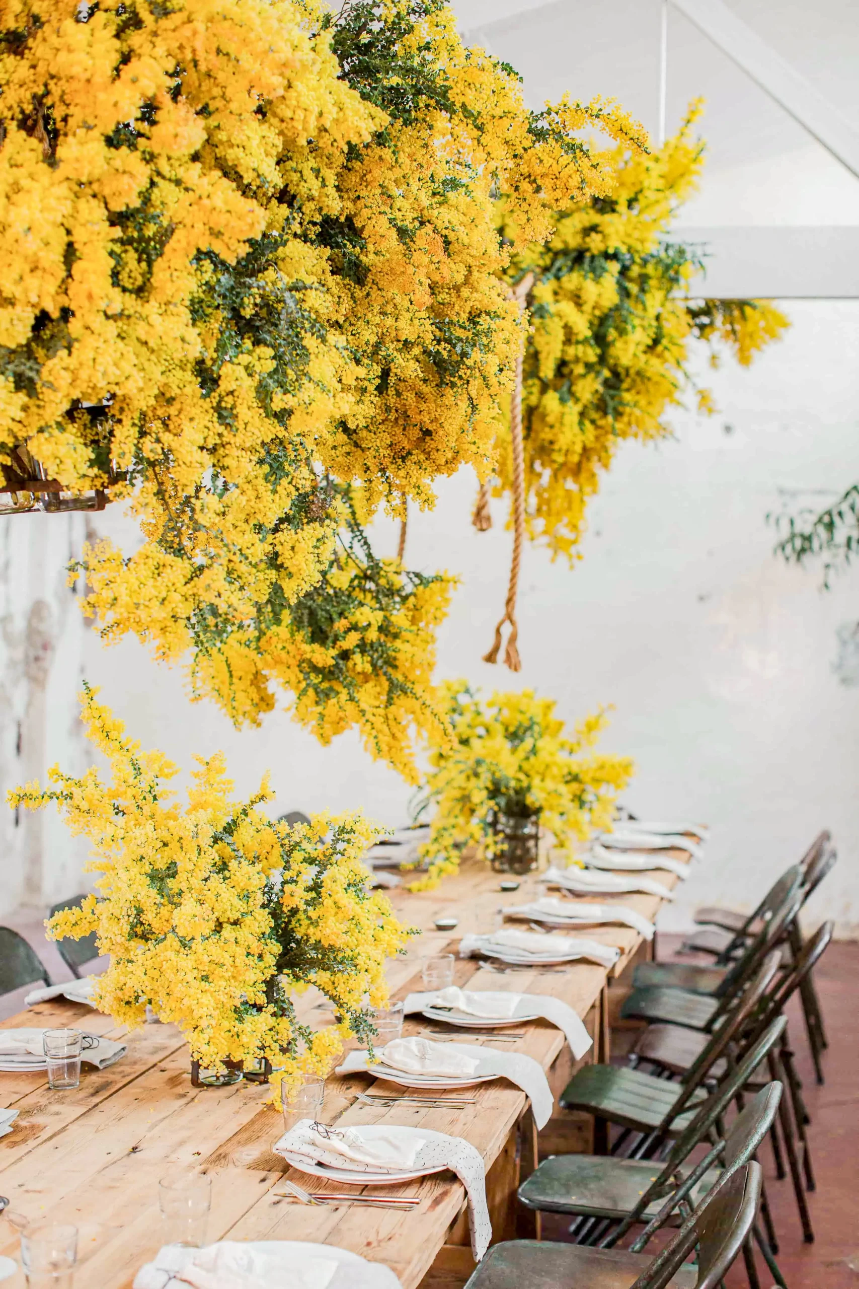 Elegant table setting with mimosa flowers by villa chef in South of France