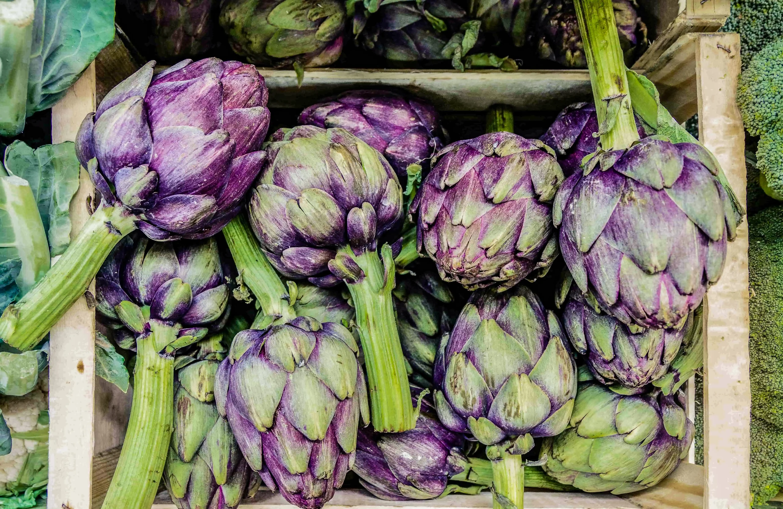Fresh globe artichokes prepared by a private villa chef in South of France.